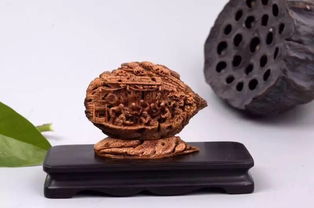 山东工艺美术学院研培学员创新产品设计大奖赛喜获佳绩，彰显收藏品鉴定评估服务价值